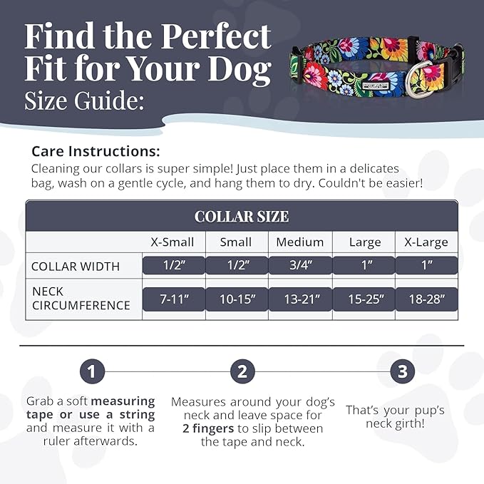 Lucky Love Dog - Easy Click Buckle Dog Collar with Leash Set Combo, Durable & Comfortable for Male & Female Dogs, Pet Collar for Medium Dogs, Secure Fit - Lilian Combo, Medium