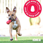 KONG - Extreme Goodie Bone - KONG's Most Durable Natural Rubber Dog Bone for Power Chewers - Black - For Large Dogs
