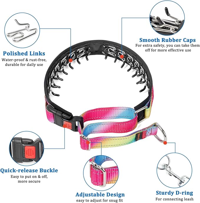 Mayerzon Martingale Prong Collar for Dogs, Patented No Pull Pinch Collar with American Flag and Buckle for Small Medium Large Dogs Training Walking Hunting, Adjustable and Heavy Duty(XL, Rainbow)