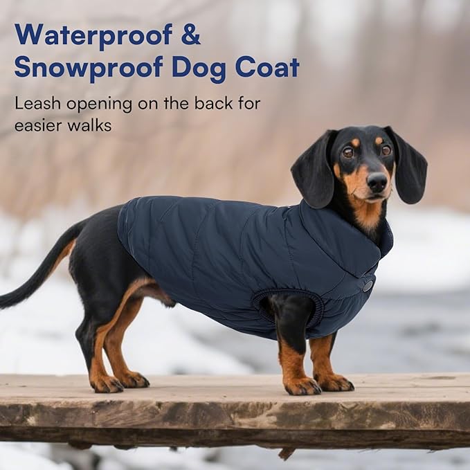 ASENKU Dog Winter Coat - Waterproof Windproof Dog Jacket, Warm Snowproof Doggie Puffer Vest for Cold Weather, Lightweight Snow Coats for Small Medium Large Dogs(L, Blue)