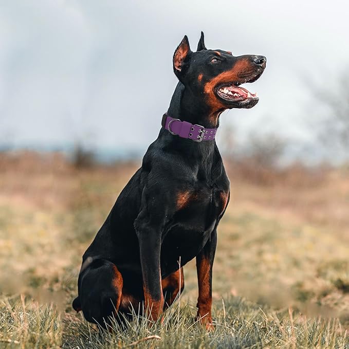 Tactical Dog Collar Military Adjustable Dog Collars Soft Nylon Training Collar with Patch Heavy Duty Metal Buckle Collars for Medium Large Dogs (Violet, M)