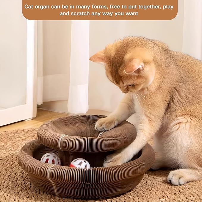 Kitty Kurlz Cat Toy, Magic Organ Cat Scratch Board, Compact Cats Accordion Toy, Foldable Interactive Cardboard Cat Scratcher Pad Toys with 1 Bell Balls for Indoor Cats