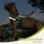 Service Dog Vest Harness and Leash Set, Animire in Training Dog Harness with 10 Dog Patches, Reflective Dog Leash with Soft Handle for Small, Medium, Large, and Extra-Large Dogs (Multi-Colored,L)