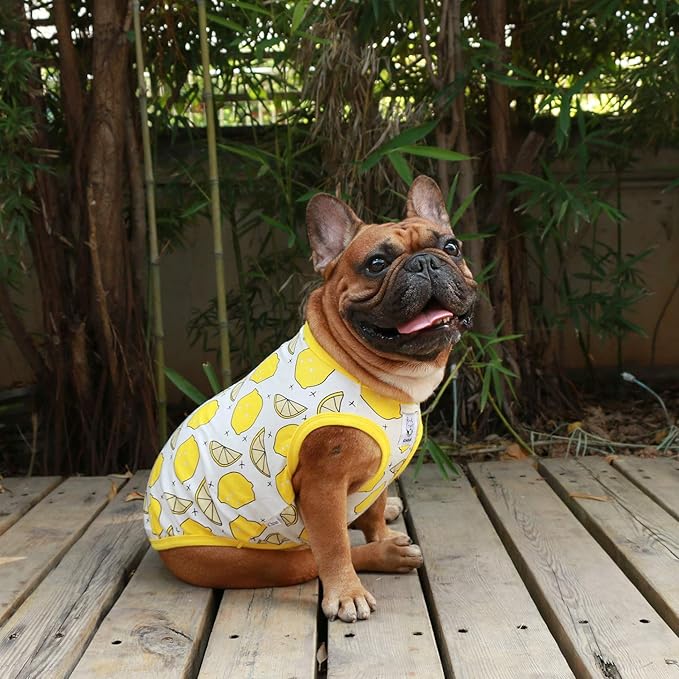 iChoue 100% Breathable Cotton French Bulldog Halloween Cartoon T Shirts Cute Clothes for Medium Dogs Vest Tank Tops Frenchie Pug Small Puppy English Boston Terrier Lemon - Large