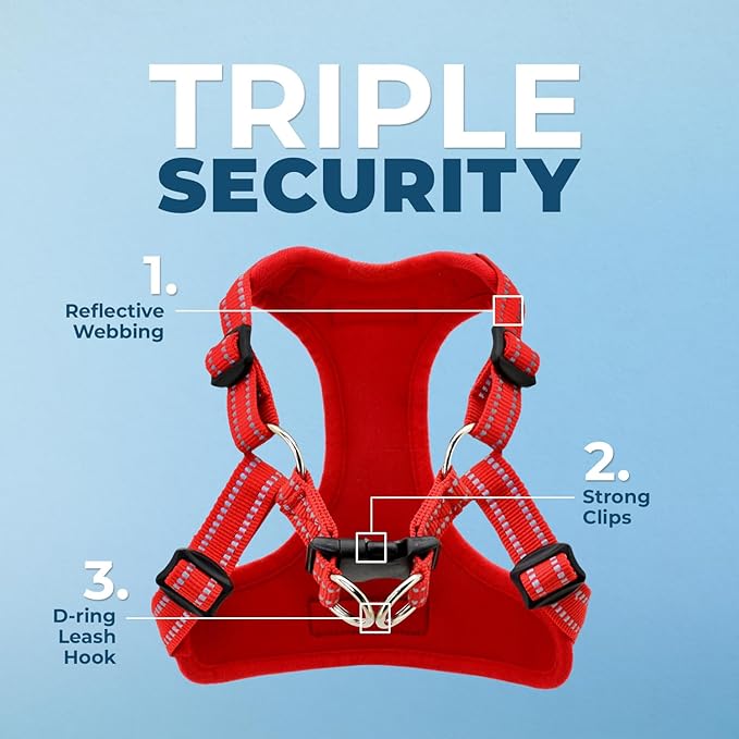 Best Pet Supplies Voyager Adjustable Step-in Flex Breathable Mesh Dog Harness for Small Medium Large Dogs Leash Set (Red), XS