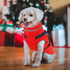 PETDSH Dog Coat Large, Built-in Harness Dog Jacket with Warm Fleece Lining, Waterproof Reflective Dogs Winter Coat, Pet Coats with Pocket and Trash Bags (Red, XX-Large)
