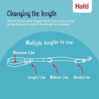 Halti Headcollar Size 4, Black & Halti Training Leash Size Large, Black Combination Pack - Stop Your Dog Pulling on the Leash. Adjustable, Lightweight with Padded Nose Band. Suitable for Large Dogs