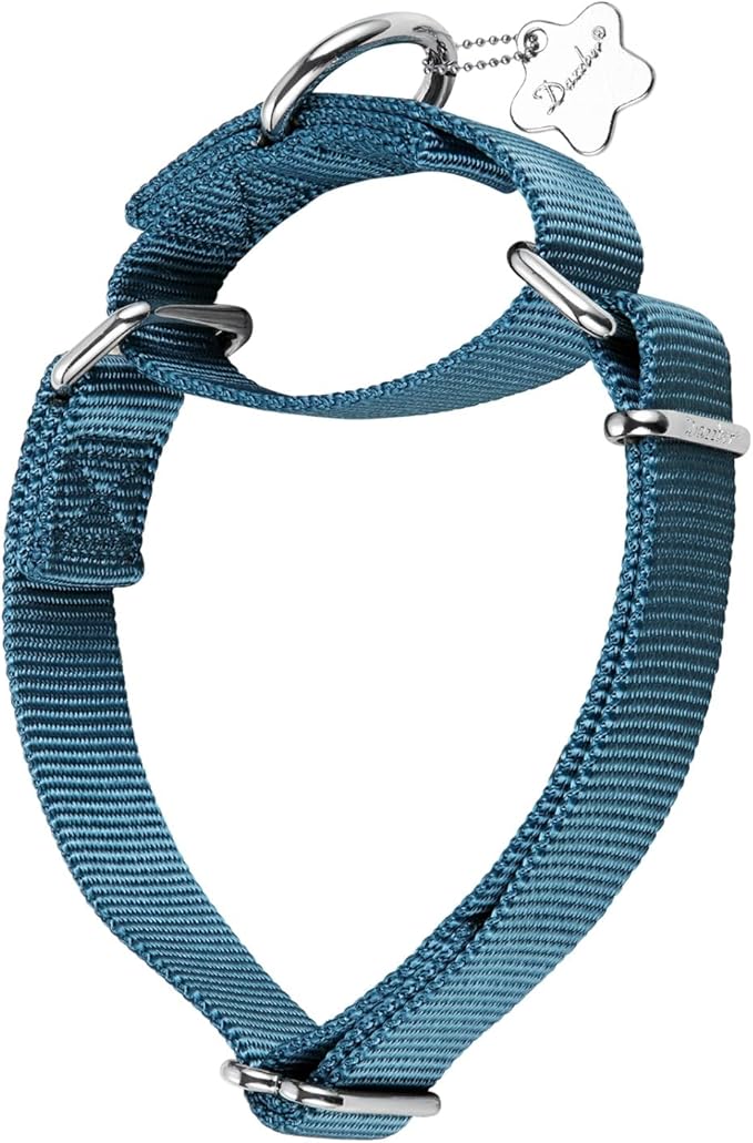 Martingale Dog Collar, No-Buckle Escape-Proof Design, Heavy-Duty Nylon and Welded D-Ring, Adjustable Training Collar for Medium Large Dogs (Haze Blue, L)