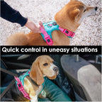 PHOEPET No Pull Dog Harness, Unique Colors Reflective Adjustable Dog Vest, with Soft Training Handle Metal Clips for Small Medium Large Dogs (Mint Green Base & Pink Straps,S)