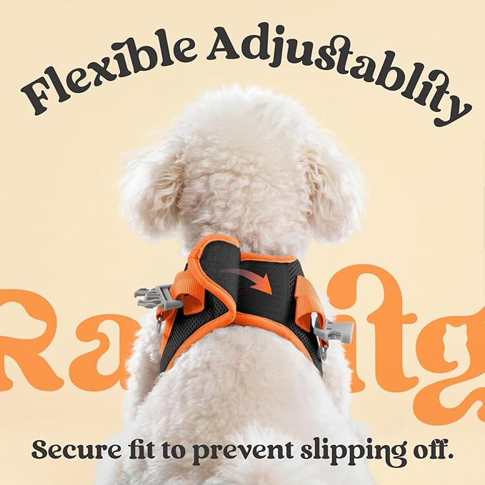 rabbitgoo Dog Harness Small Sized and Leash Set, Step-in Breathable Pet Harness, Soft Walking Reflective Puppy Vest for Small Dogs, Black & Orange, XS