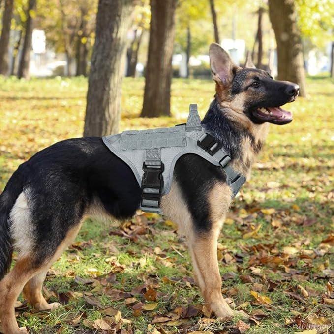 rabbitgoo Tactical Dog Harness for Large, Heavy Duty Pet Harness with Handle, No-Pull Service Vest Large Breed, Adjustable Military Dog Vest for Training Hunting Walking, Grey, L