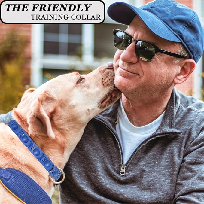 Dog Training Collar with 4 Extra Links for Medium, Large and X-Large Dogs (Blue)