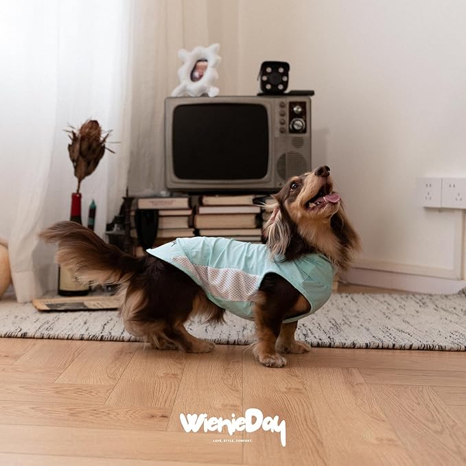 Dachshund Dog Cooling Vest, Breathable Summer Dog Cooling & Quick-Dry Shirt for Outdoor Activities,Mini Dachshund Lightweight Clothes, Vest Small Dogs (Blue, L(16-22 lbs))