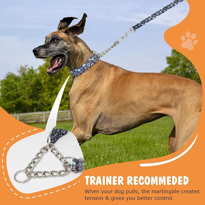 Skull Chain Martingale Collar for Dogs, No Pull Slip Cinch Choker Choke Collar Training Escape Proof Heavy Duty Dog Collar for Extra Large Medium Large Pet Boy Male Dogs, XL