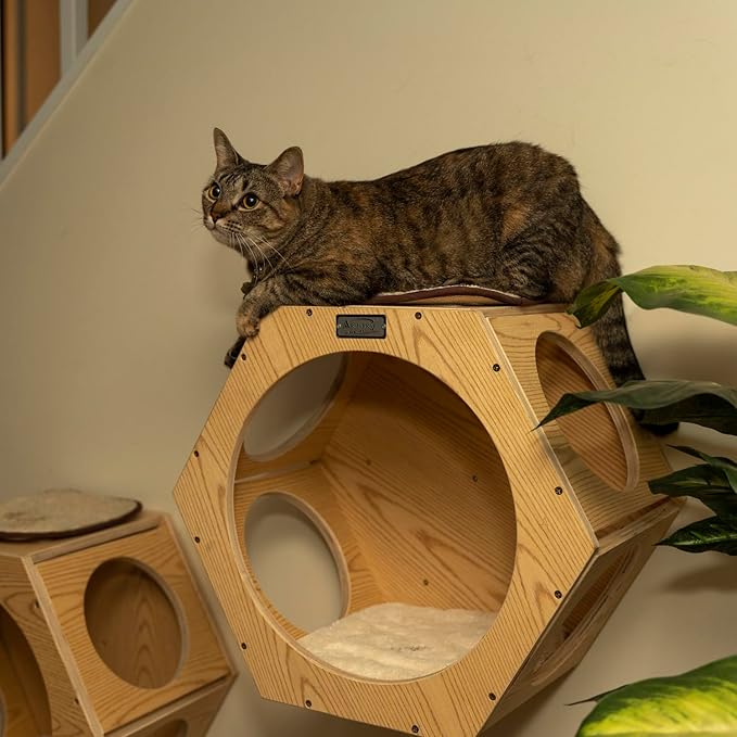 Maykoosh Global Greatness Wood Wall Set of Two Cat Shelves, Natural Beige, 20" x 12" x 18" - Cat-Friendly, Vertical Space Efficiency