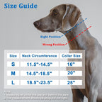 Mayerzon Martingale Collar for Dogs, No Pull Dog Collar with Reflective Strip for Small Medium Large Dogs, Anti Pulling Dog Collar with Buckle for Walking Training, Safe for Night Walk(Blue, L)