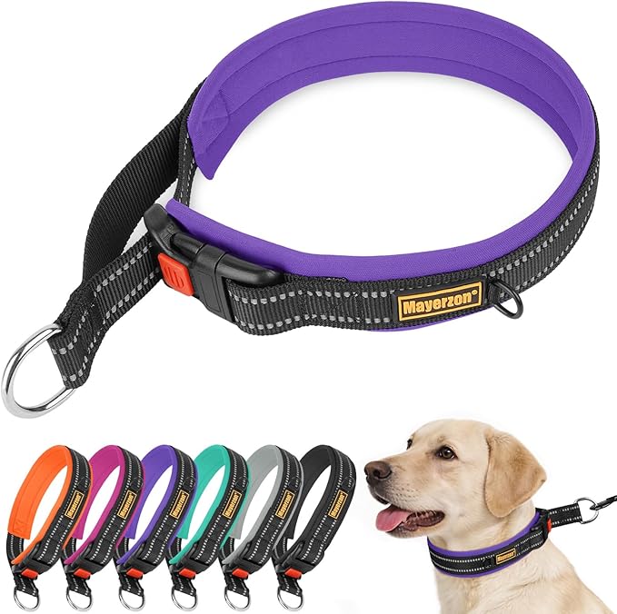 Mayerzon 1.5" Wide Martingale Collar for Large Medium Small Dogs Pitbull German Shepherd, No Pull Reflective Slip Martingale Dog Collar with Buckle Soft Padded for Walking Training(Purple,XXL)