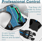 BARKBAY Dog Harness No Pull with ID Tag Pocket - Heavy Duty, Reflective, Easy Control for Small Dogs(Blue/Black,S)
