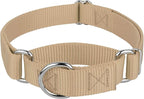 Country Brook Petz - Martingale Dog Collar - Heavy-Duty Training Collar with No Buckle - Service Dog Collar for All Pups - 10+ Warm Colors (Copper Gold, 3/8 Inch, 3XS)