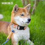 Hikiko Martingale Collar for Dogs Peach Dog Collar for Small Medium Large Dogs Cute Holiday Summer Dog Collars Pet Gift (Peach,Small)
