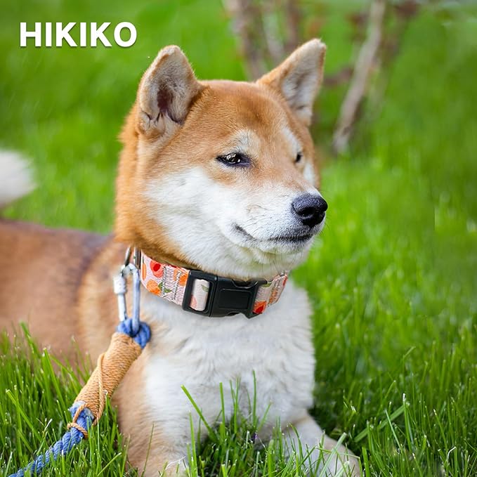 Hikiko Martingale Collar for Dogs Peach Dog Collar for Small Medium Large Dogs Cute Holiday Summer Dog Collars Pet Gift (Peach,Small)