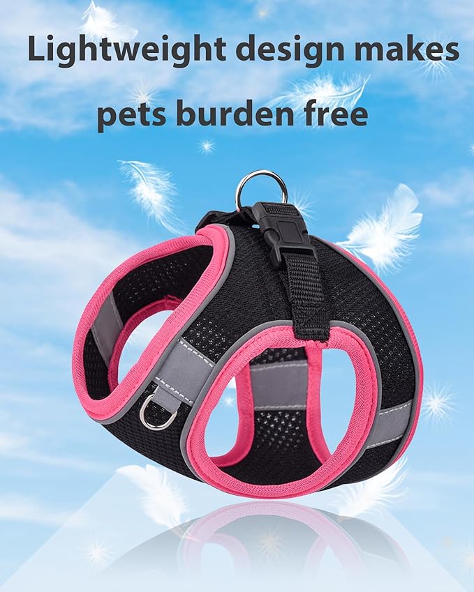 Dog Harness for Small Medium Sized Dog, Step in Puppy Harness and Leash Set Training Walkings. (Black, M)