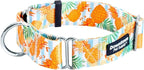Downtown Pet Supply - Martingale Collar for Dogs - Dog Training Collar - Big, Wide & Thick Dog Collar - Escape-Proof, Weatherproof, Durable and Comfortable - Pineapple - Large Dog Collar
