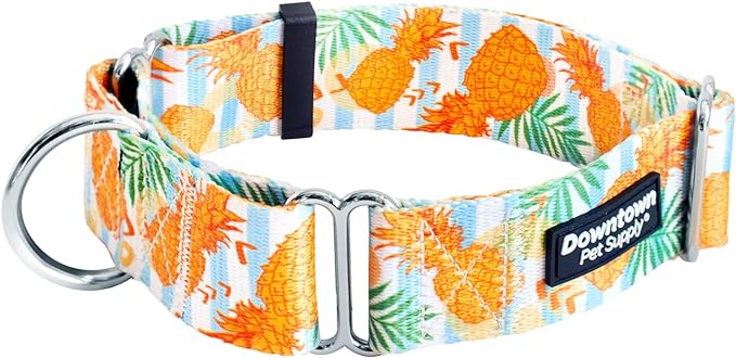 Downtown Pet Supply - Martingale Collar for Dogs - Dog Training Collar - Big, Wide & Thick Dog Collar - Escape-Proof, Weatherproof, Durable and Comfortable - Pineapple - Small Dog Collar