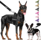 Lukovee No Pull Dog Harness & Leash Set - Heavy Duty Dog Vest Harness with Soft Padded for Medium Large Dogs, Adjustable Reflective Tactical Pet Harness for Easy Walk and Training (L, Black)