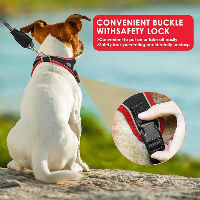 Dog Harness and Leash Set, No Pull Saddle Style Pet Harness, Breathable Mesh Adjustable Reflective Dog Vest for Dogs and Cat Medium Small Harness 2 D-Rings (Black, S)