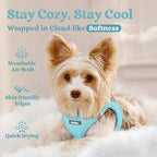 rabbitgoo Small Dog Harness, Step-in Soft Mesh Puppy Vest with Safety Buckle, Breathable Reflective Pet Harness for Small Medium Dogs, Mint Blue L