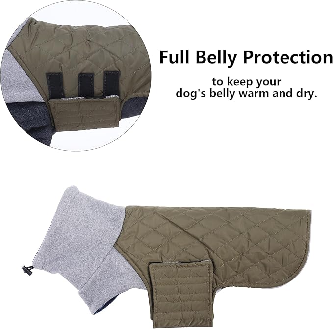 Geyecete Dachshund Coat,Dachshund Winter Coat,Warm Waterproof Windproof, High Neckine String Holes Miniature Dachshund Jacket for Small Dog-Green-XS