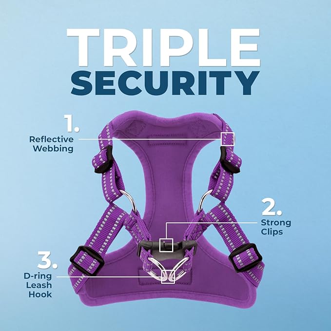 Best Pet Supplies Voyager Adjustable Step-in Flex Breathable Mesh Dog Harness for Small Medium Large Dogs Leash Set (Purple), M