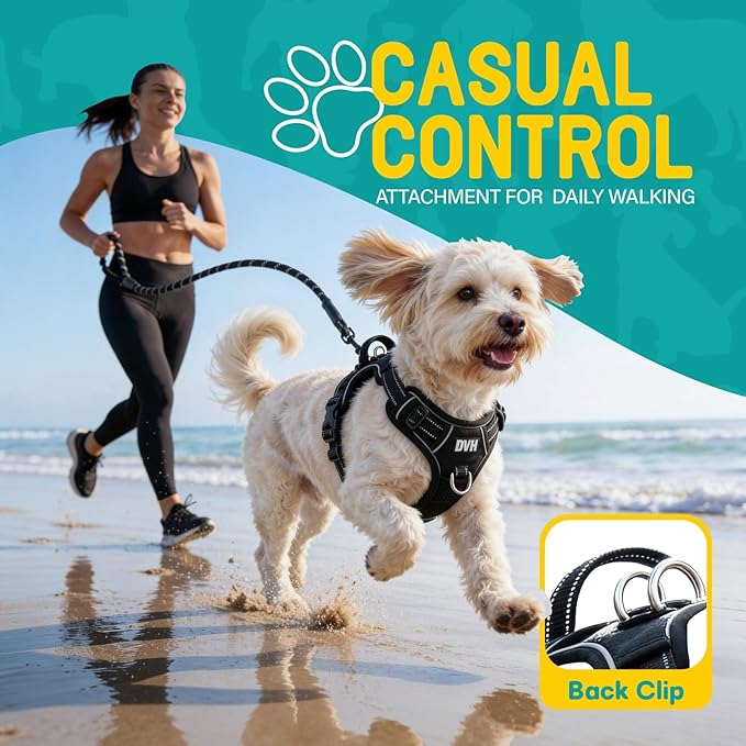 No Pull Dog Harness and Leash Set for Small Dogs – Adjustable Reflective Breathable Soft Padded Easy Control Dog Harness for Training & Walking, Black (Small)
