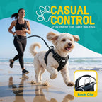 No Pull Dog Harness and Leash Set for Small Dogs – Adjustable Reflective Breathable Soft Padded Easy Control Dog Harness for Training & Walking, Black (Small)