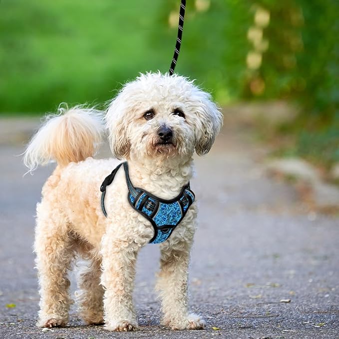 BARKBAY No Pull Dog Harness Large Reflective Dog Harness with Front Clip and Easy Control Handle for Walking Training Running with ID tag Pocket(Blue/Black,S)