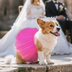 2 Pcs Dog Tutu Dress with Pearl Crown for Small Medium Pet Cat Dog Halloween Costume Dress for Ballet Birthday Party Wedding Photo Prop