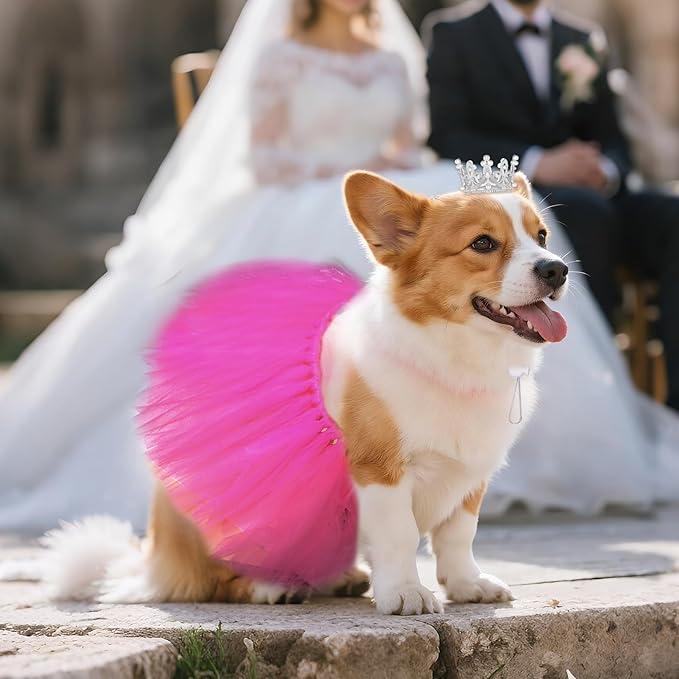 2 Pcs Dog Tutu Dress with Pearl Crown for Small Medium Pet Cat Dog Halloween Costume Dress for Ballet Birthday Party Wedding Photo Prop