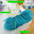 ANIAC Butterfly Dog Dress with Blue Tutu Funny Dog Clothes with Wing Girl Puppy Dress for Small Dogs Pet Butterfly Costume Holiday Cat Outfit for Halloween Birthday Wedding (Lake Blue, X-Large)