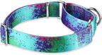 Martingale Collar for Dogs Escape-Proof No-Pull, Durable Polyester Training Collar for Dogs, No-Buckle (Ecological Oasis, Large)