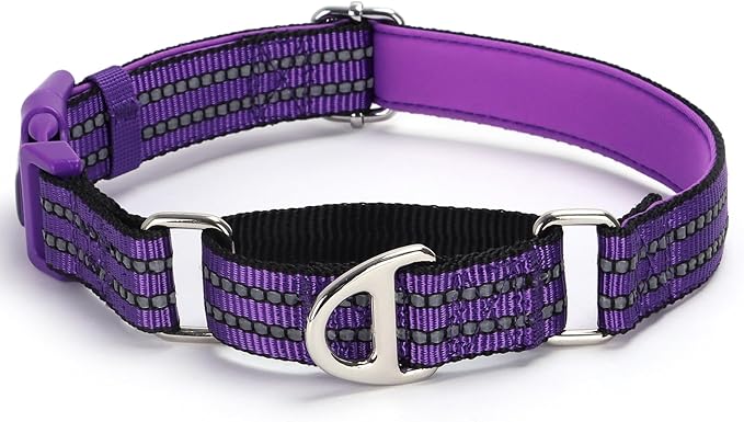 Martingale Collar for Dogs - Reflective Nylon with Padded Comfort & Quick Release Buckle - No Slip Choke Heavy Duty Collar for Safe Training, Walking & Nighttime Use Purple L
