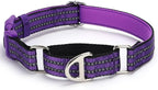 Martingale Collar for Dogs - Reflective Nylon with Padded Comfort & Quick Release Buckle - No Slip Choke Heavy Duty Collar for Safe Training, Walking & Nighttime Use Purple L