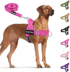 SlowTon No Pull Dog Harness - Heavy Duty Dog Harness and Leash Set for Medium Large Dogs, Reflective Tactical Harness with Soft Padded and Front Clip for Easy Walk and Training (FU, S)