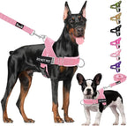 Lukovee No Pull Dog Harness & Leash Set - Heavy Duty Dog Vest Harness with Soft Padded for Medium Large Dogs, Adjustable Reflective Tactical Pet Harness for Easy Walk and Training (S, PI)
