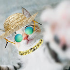6PCS Pet Dog Cat Costume, Retro Pet Sunglasses, Adjustable Gold Chain Collar & Straw Hat, Funny Pet Accessories for Cat Puppy Small Medium Dog Birthday Cosplay Party