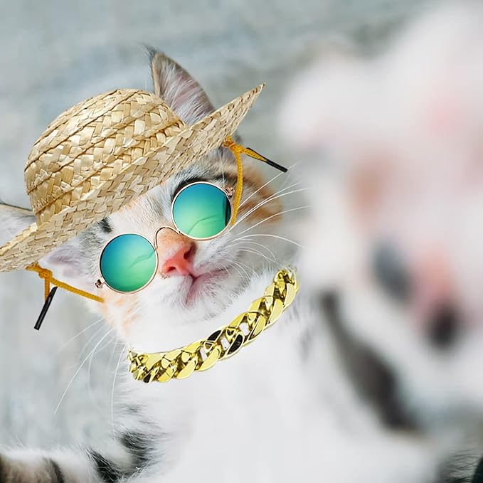 6PCS Pet Dog Cat Costume, Retro Pet Sunglasses, Adjustable Gold Chain Collar & Straw Hat, Funny Pet Accessories for Cat Puppy Small Medium Dog Birthday Cosplay Party