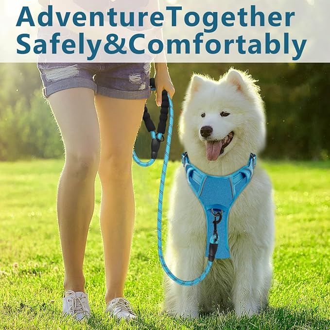 BARKBAY Dog Harness No Pull Oxford with ID Tag Pocket - Heavy Duty, Reflective, Easy Control for Large Dogs(Aqua Oxford,XS)