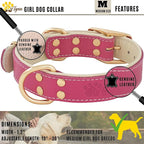ADITYNA Heavy-Duty Pink Leather Dog Collar for Medium Dogs - Soft Padded for Comfort - Girl Dog Collar for Walking, Training, and Hiking