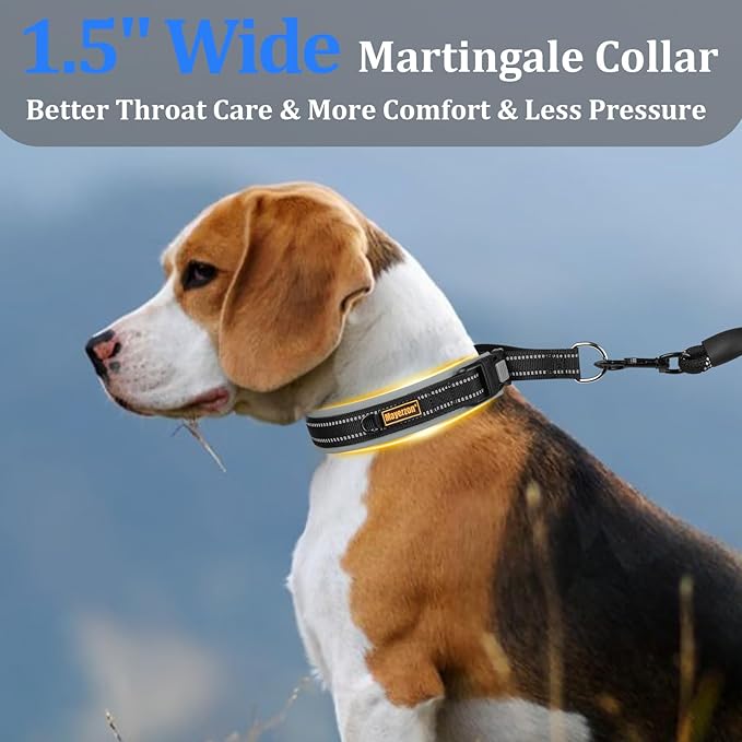 Mayerzon 1.5" Wide Martingale Collar for Large Medium Small Dogs Pitbull German Shepherd, No Pull Reflective Slip Martingale Dog Collar with Buckle Soft Padded for Walking Training(Seattle Haze, M)