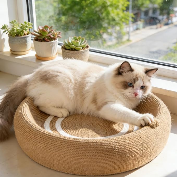 Genérico Scratcher for Cats – Sisal Protector in the Shape of Scratching Bowl | Scratcher for Indoor Cats, for Living Room, Bedroom, Home and Apartment